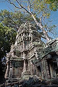 Ta Prohm temple